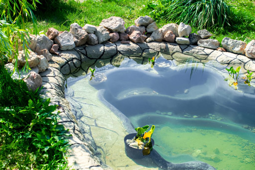 pond equipment