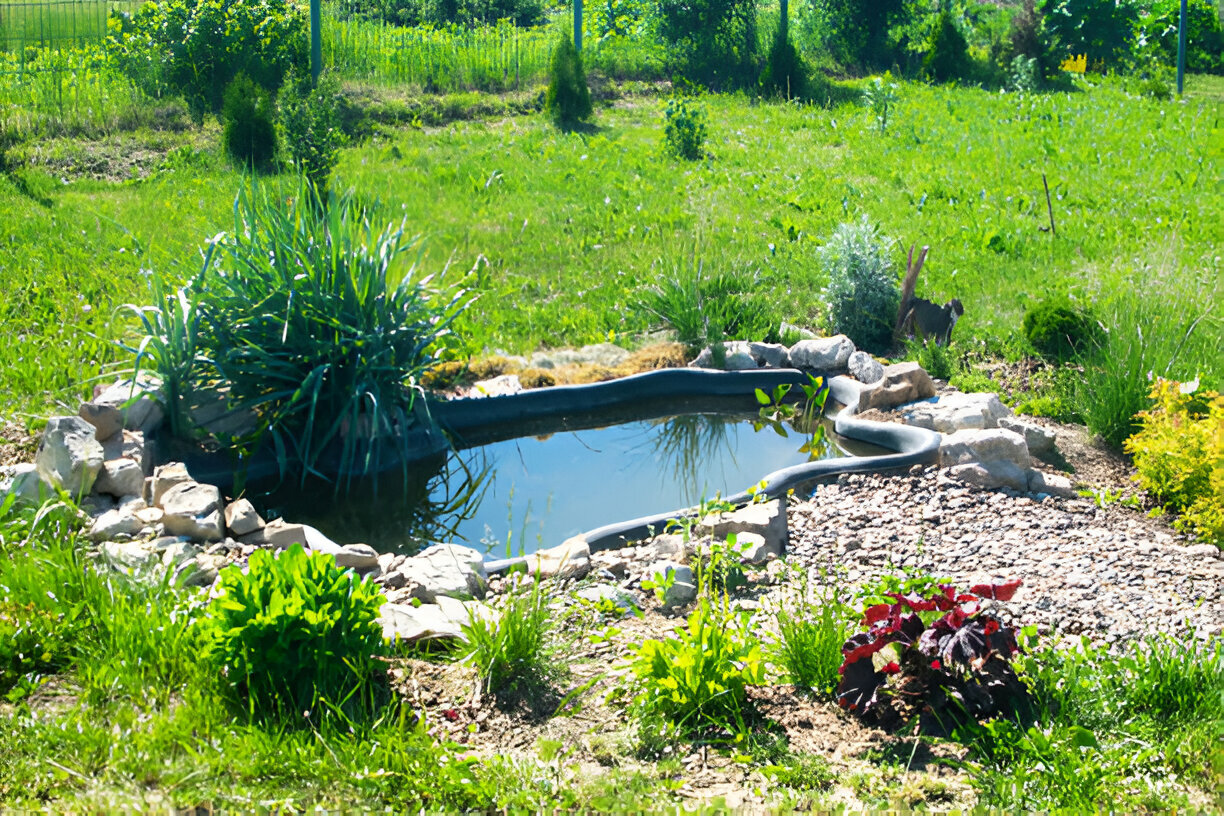 pond equipment