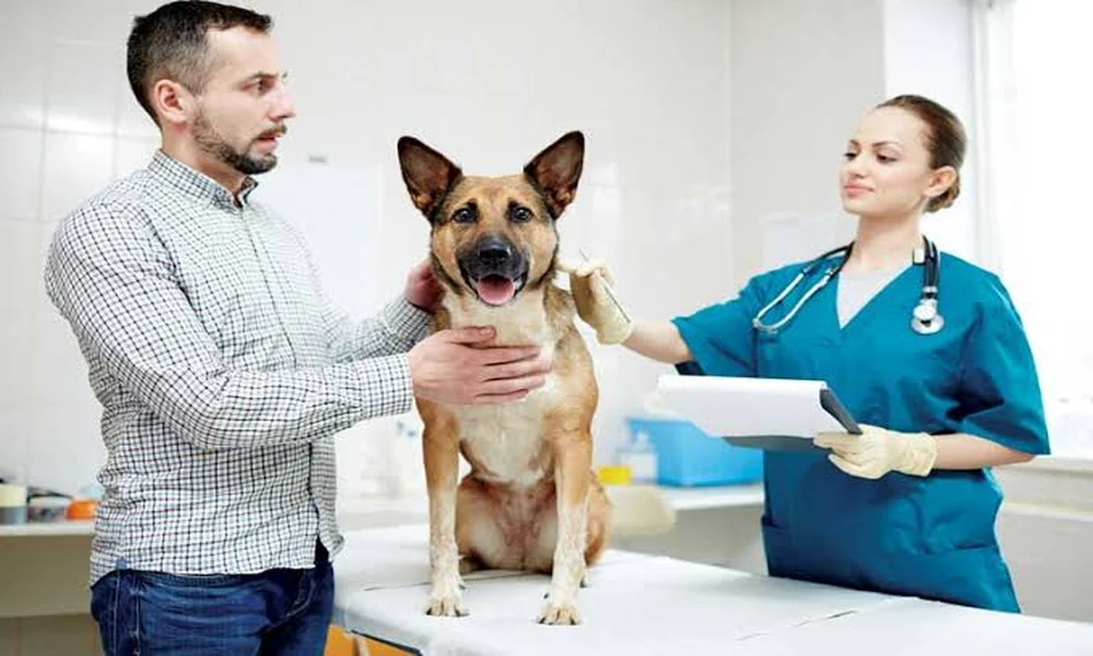 Why Vaccination Compliance is Easier Through Veterinary Clinics